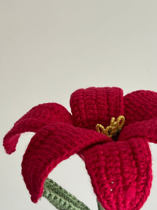 Lily (Red)