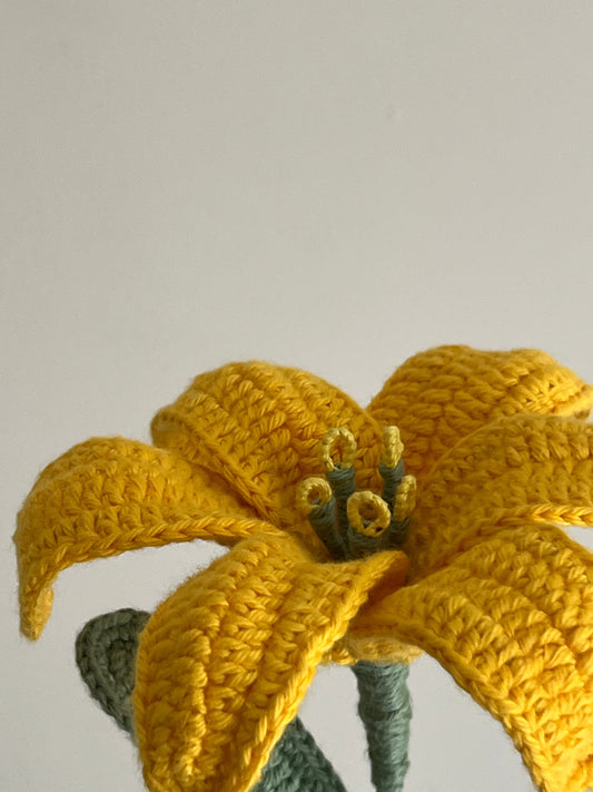 Lily (Yellow)