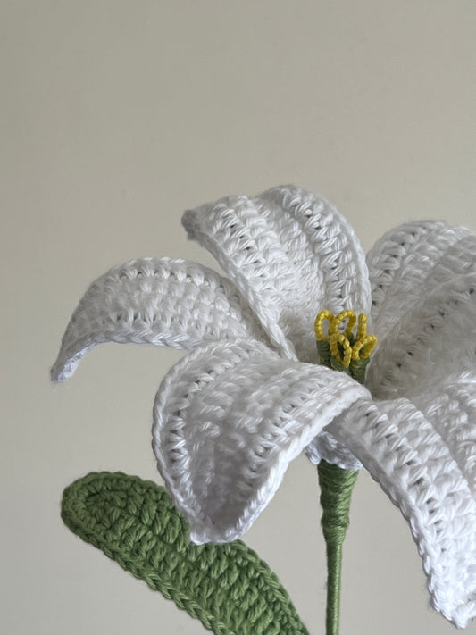Lily (White)