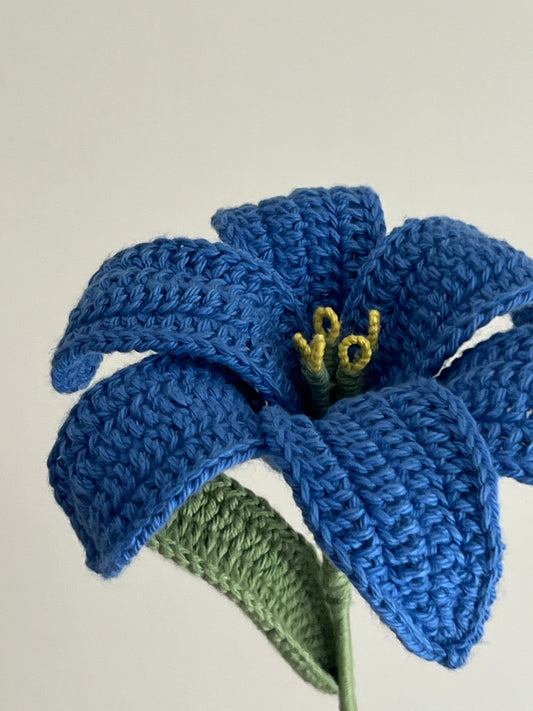 Lily (Blue)