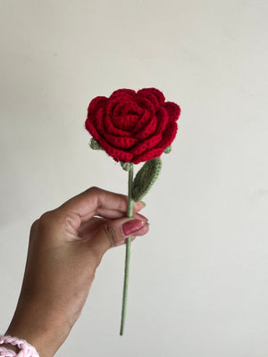 Rose (Red)