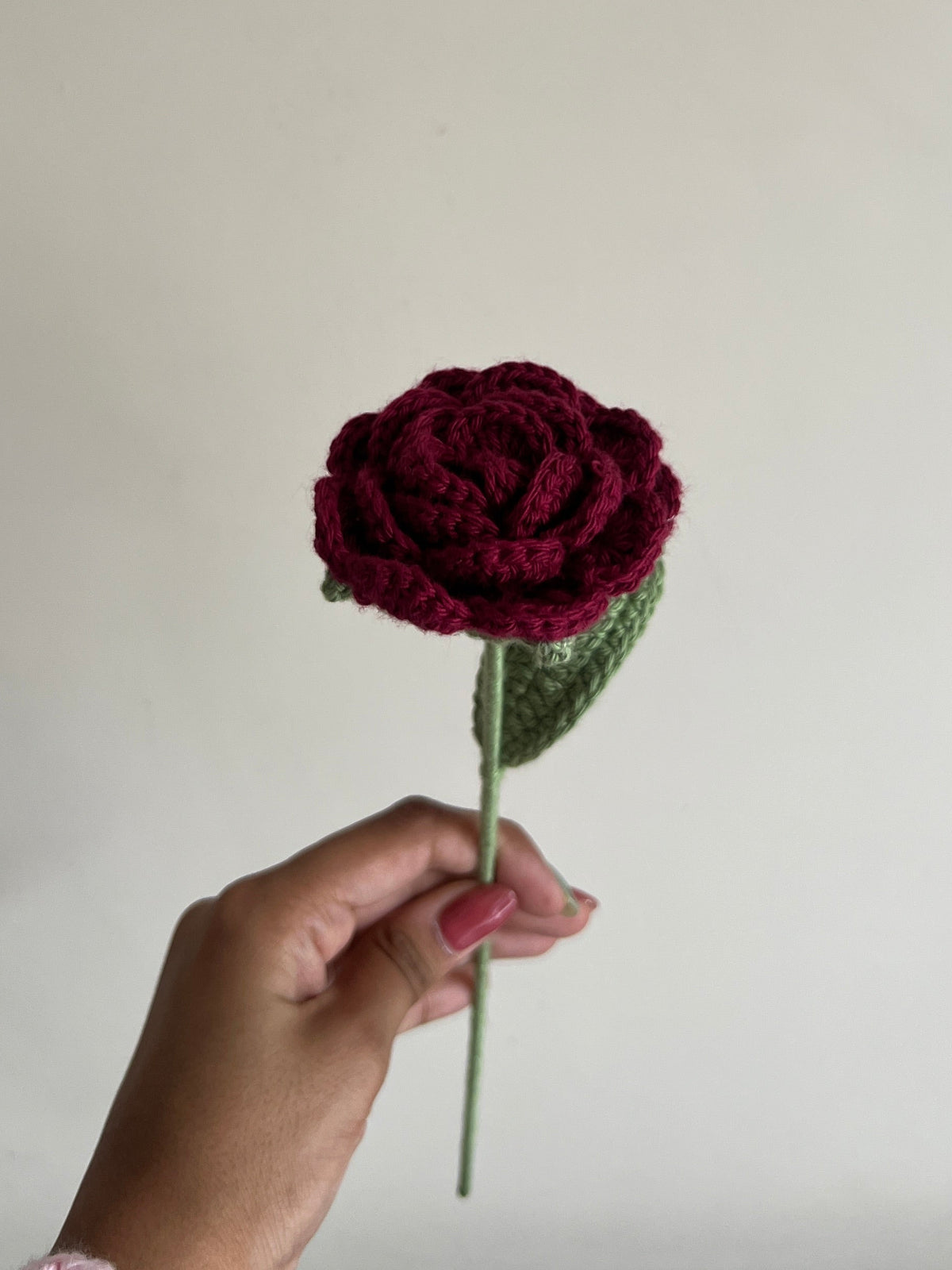 Rose (Maroon)