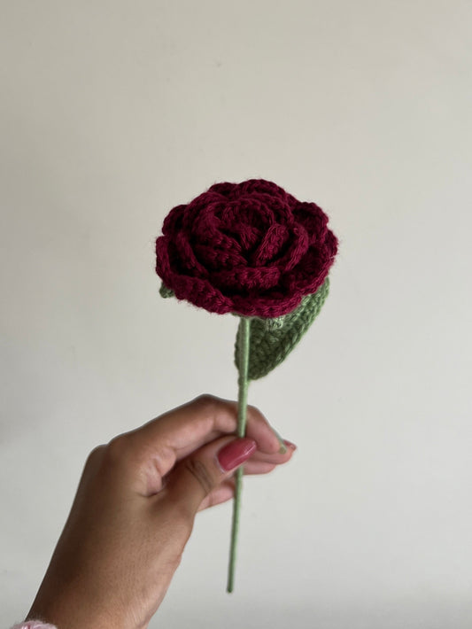 Rose (Maroon)