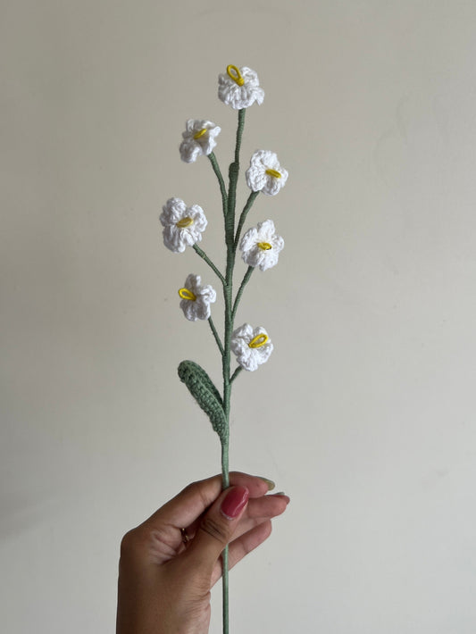 Forget me not (White)