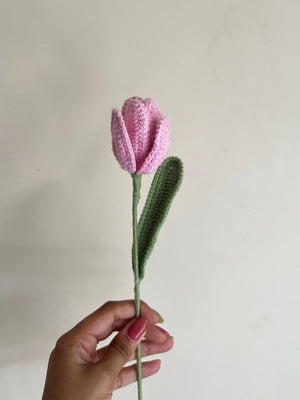 Open Tulip (Baby Pink)