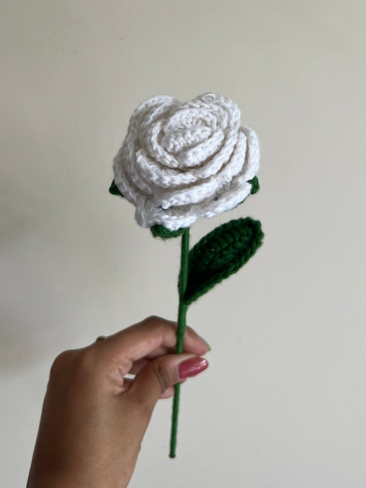 Rose (White)