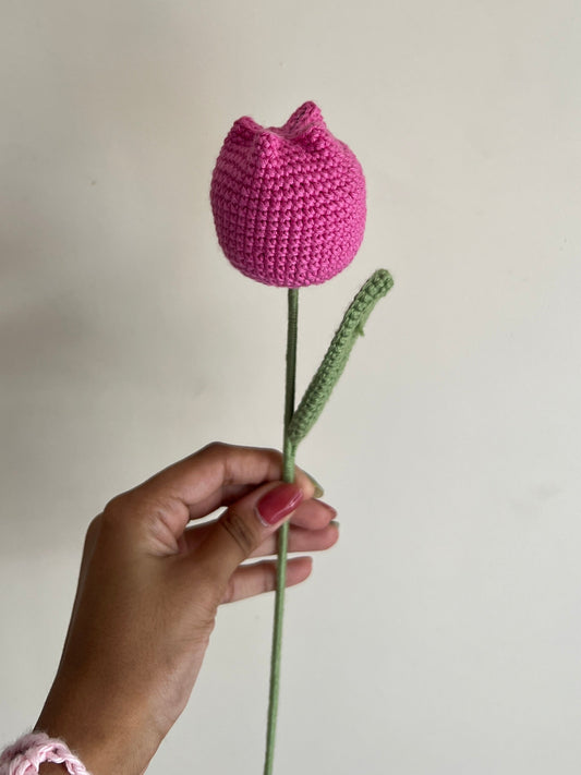 Tulip (Dark Pink)