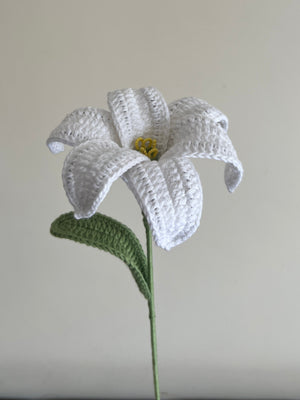 Lily (White)