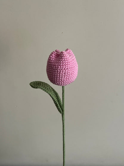 Tulip Bouquet