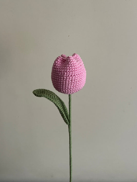 Tulip (Baby Pink)