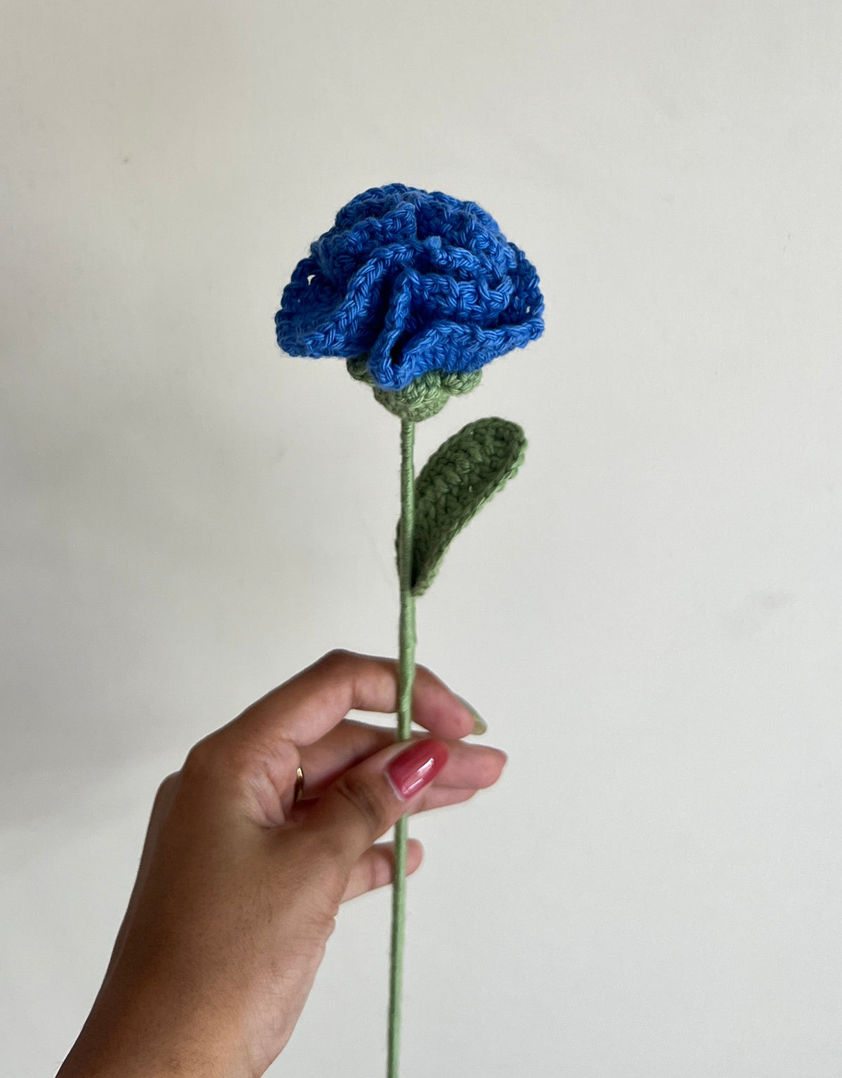 Carnation (Blue)