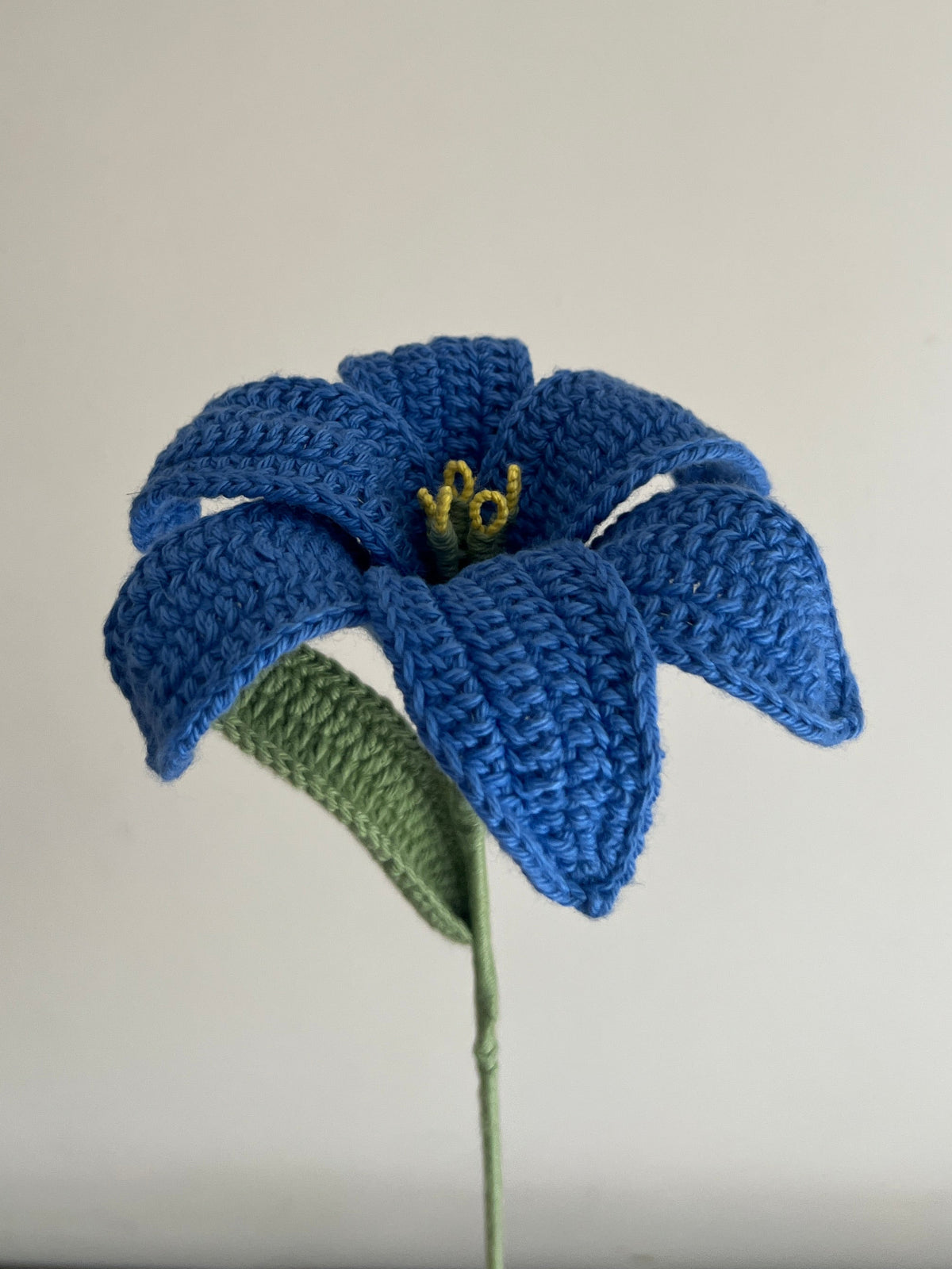 Lily (Blue)