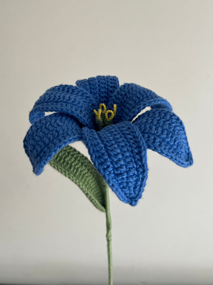Lily (Blue)