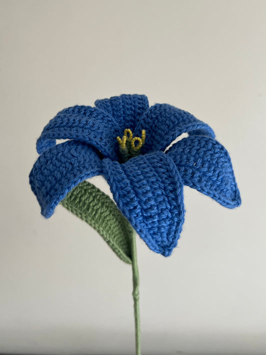 Lily (Blue)