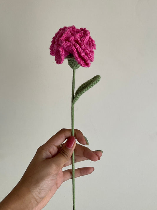 Carnation (Dark Pink)