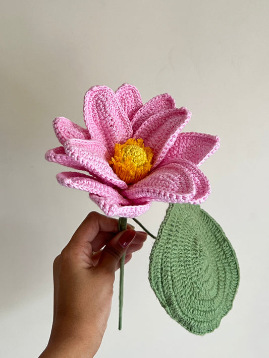 Lotus (Pink)