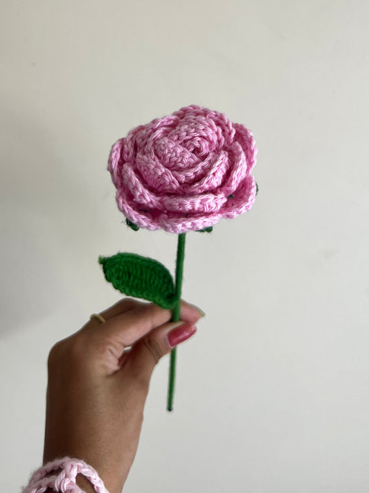 Rose (Baby Pink)