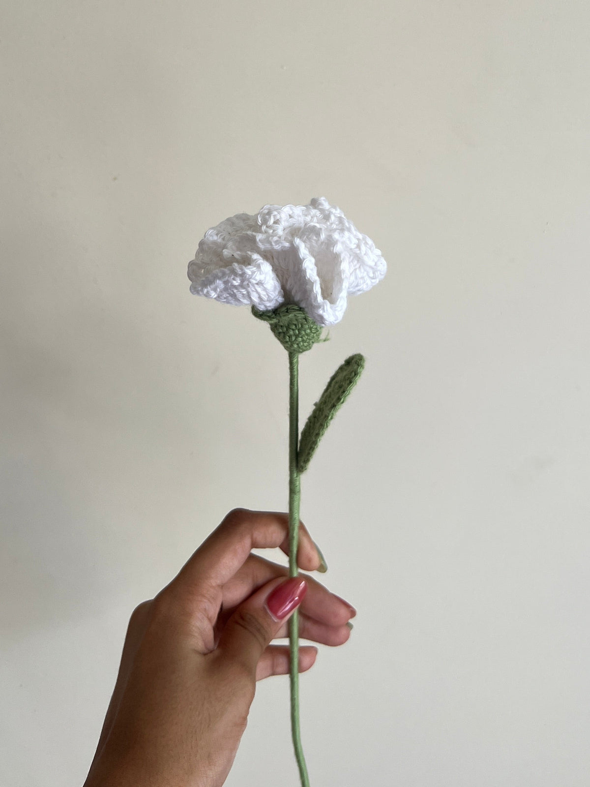 Carnation (White)