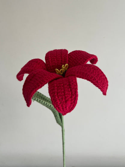 Lily (Red)