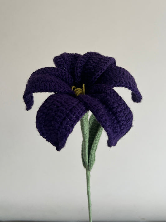 Lily (Violet)