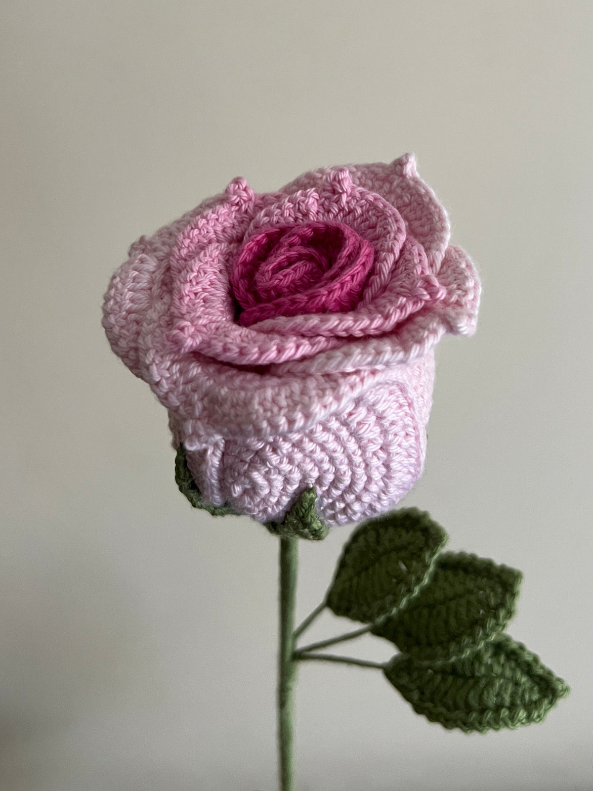 Thai Rose (Pink)