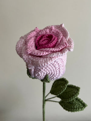 Thai Rose (Pink)