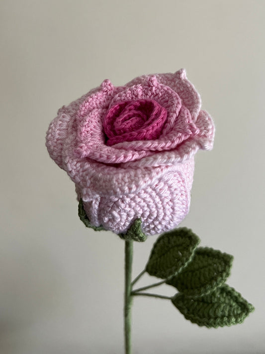 Thai Rose (Pink)