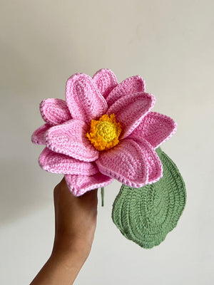 Lotus (Pink)