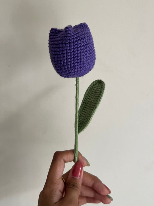 Tulip (Purple)