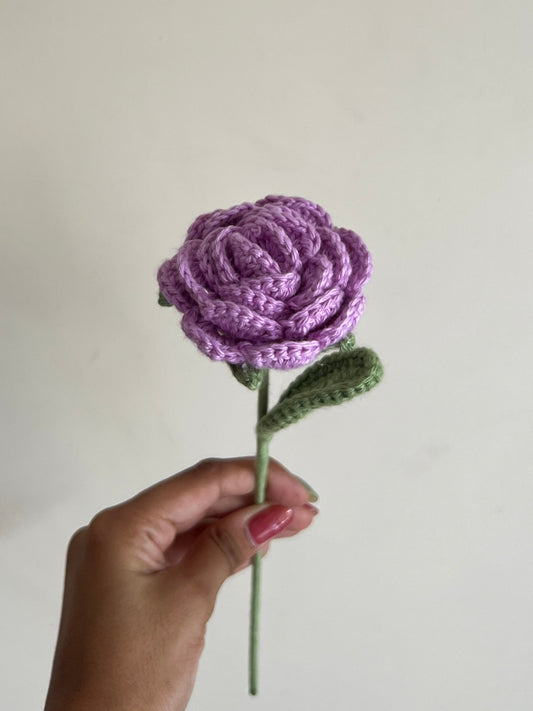 Rose (lavender)