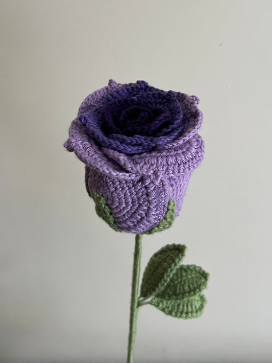 Thai Rose (Purple)