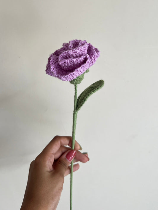 Carnation (Lavender)