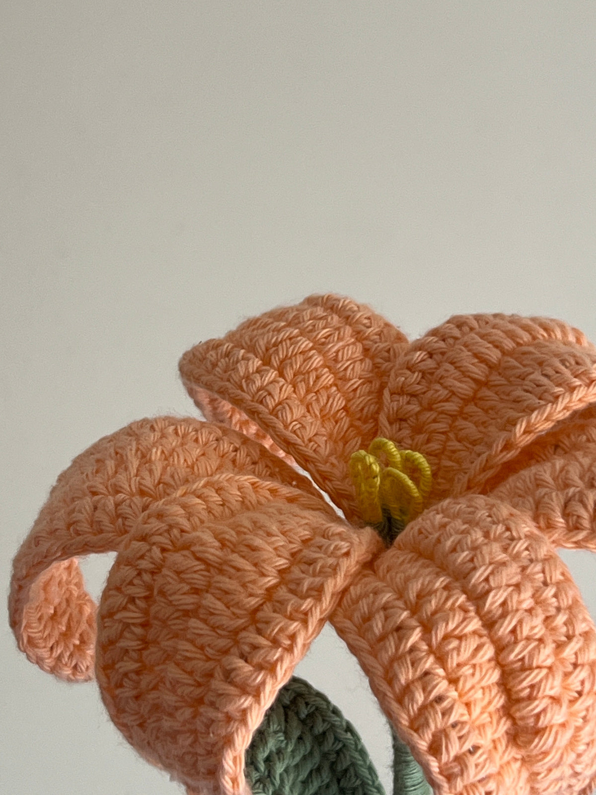 Lily (Peach)