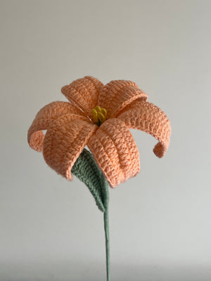 Lily (Peach)
