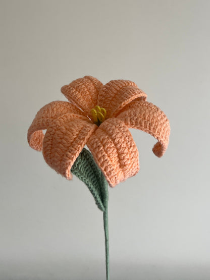 Lily (Peach)