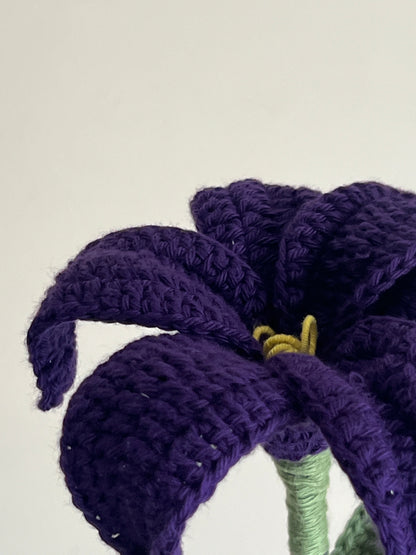 Lily (Violet)