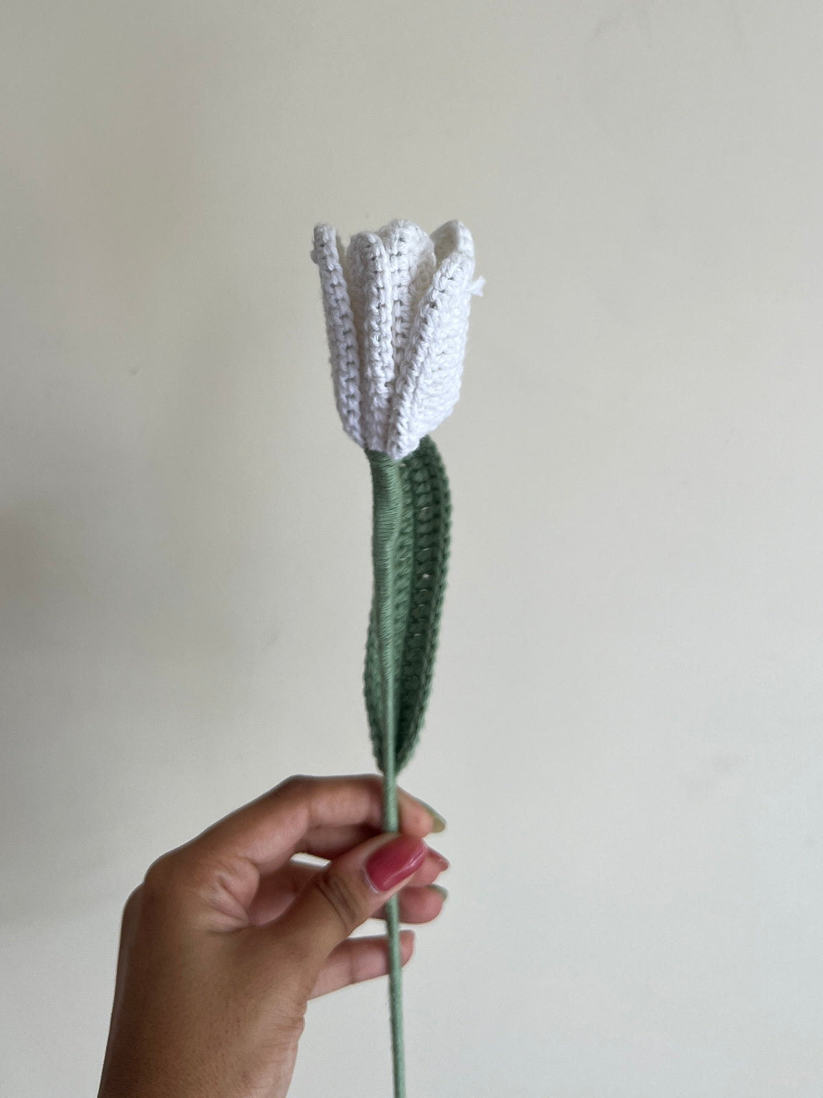 Open Tulip (White)